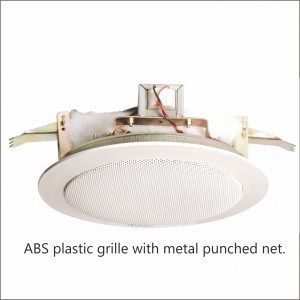 Ceiling Speakers (9)